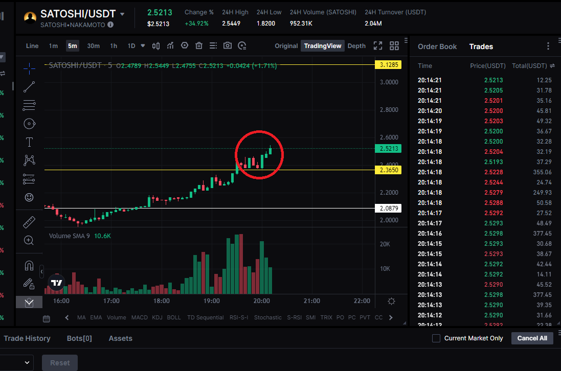 Bitcoin-Runes-Satoshi-Nakamoto-Price-Prediction