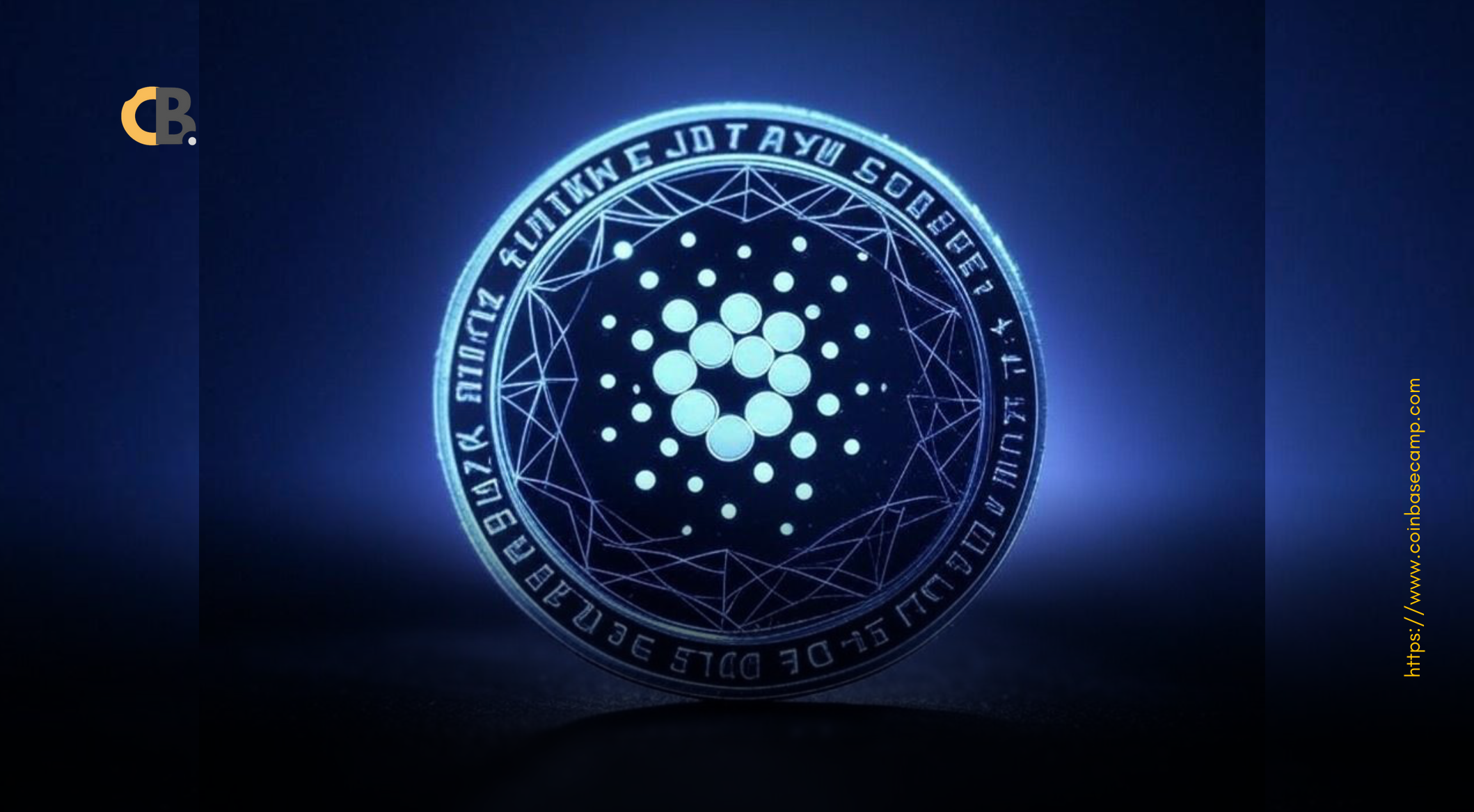 cardano-surging