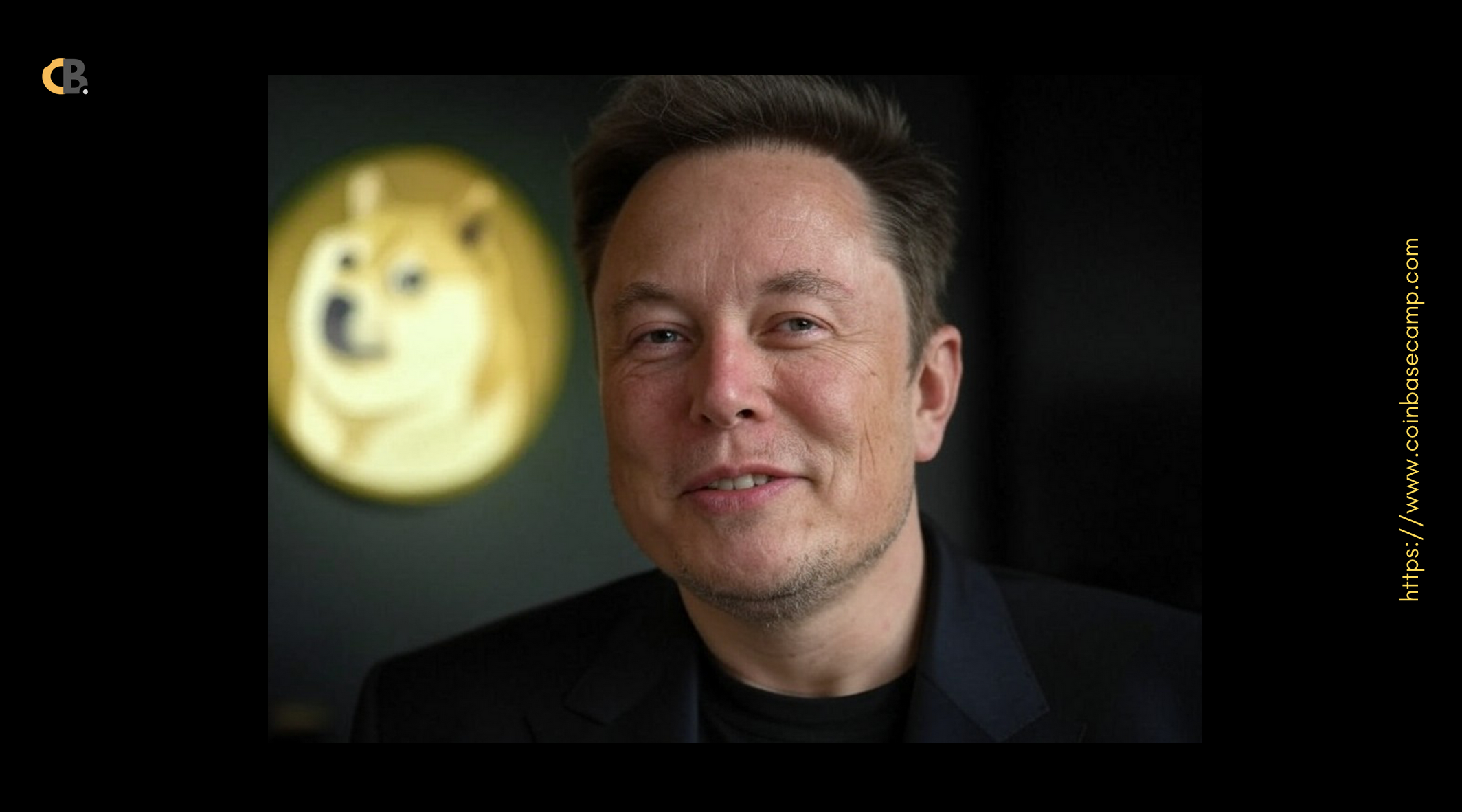 elon-musk-doge-govt