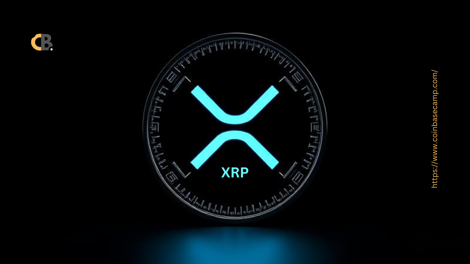 XRP $320