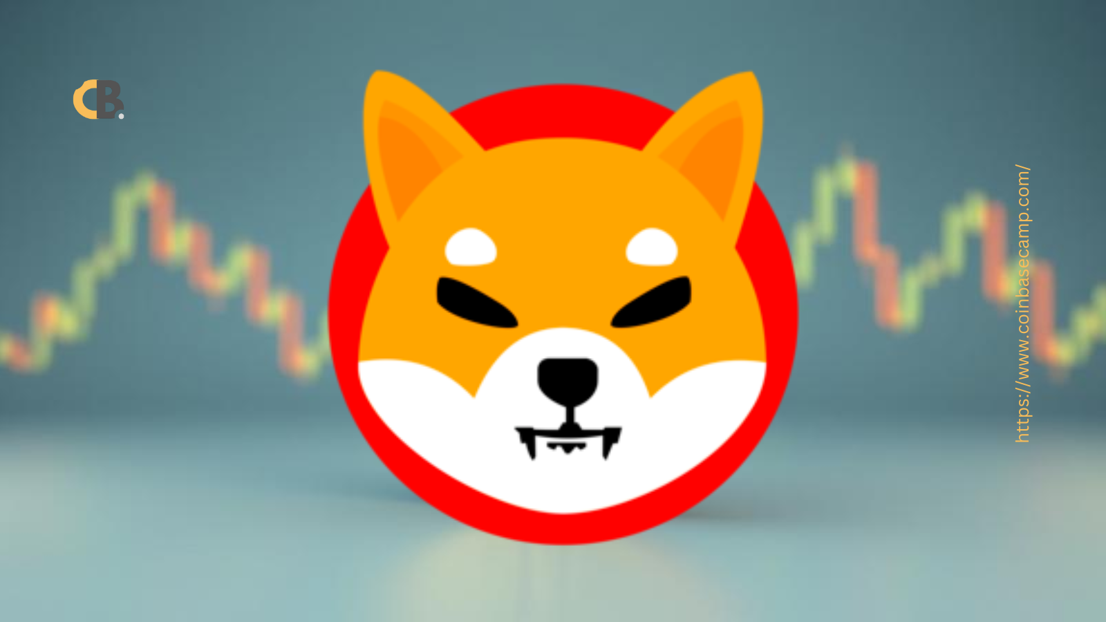 Shiba Inu Coin