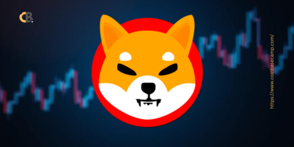 Shiba Inu Shocker