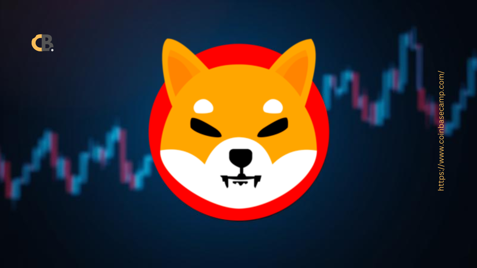 Shiba Inu Shocker
